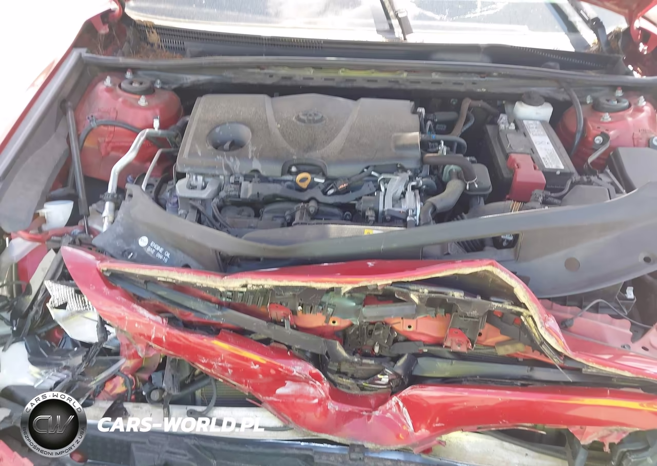 2019 Toyota Camry Se VIN:4T1B11HK1KU216335 - 10