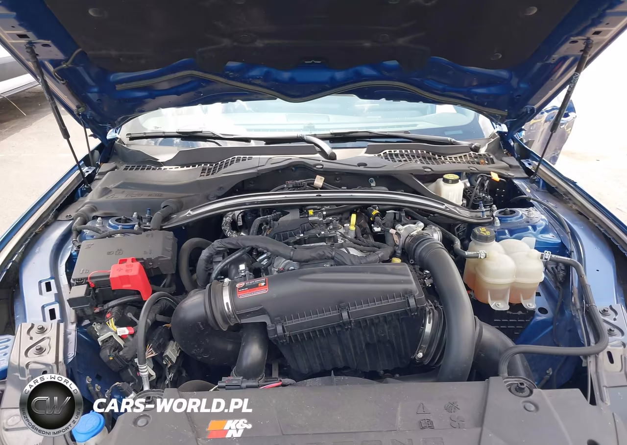2024 Ford Mustang Ecoboost Fastback VIN:1FA6P8TH1R5110048 - 10