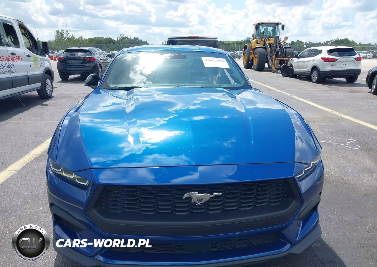 2024 Ford Mustang Ecoboost Fastback VIN:1FA6P8TH1R5110048 - 12