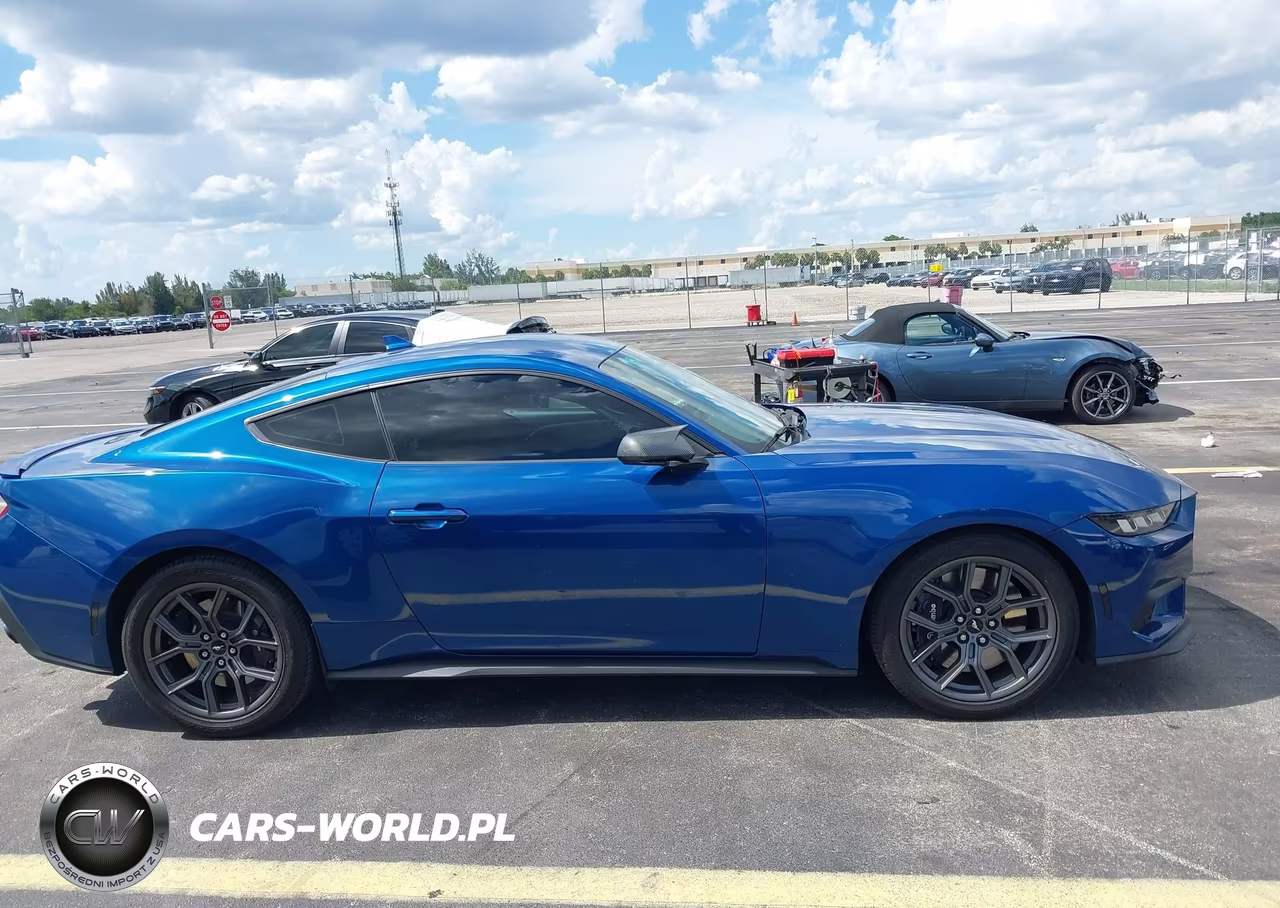 2024 Ford Mustang Ecoboost Fastback VIN:1FA6P8TH1R5110048 - 13