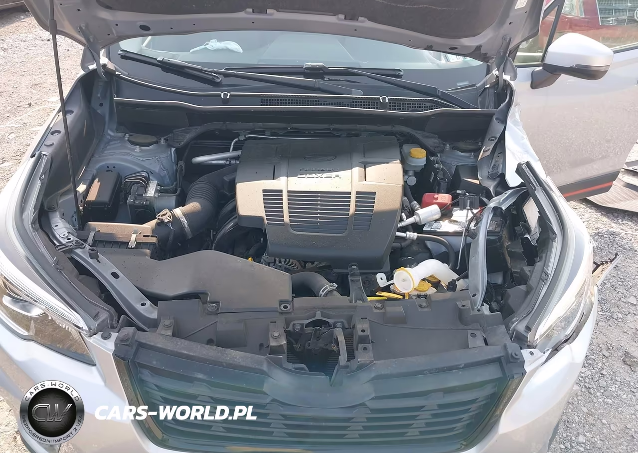 2019 Subaru Forester Sport VIN:JF2SKAJC4KH509726 - 10