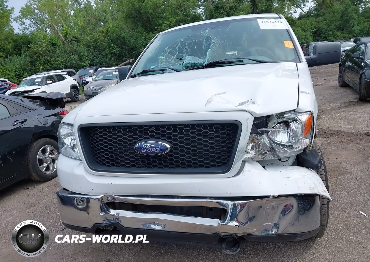 2006 Ford F-150 Fx4-Lariat-Xl-Xlt VIN:1FTVX145X6NB08196 - 12