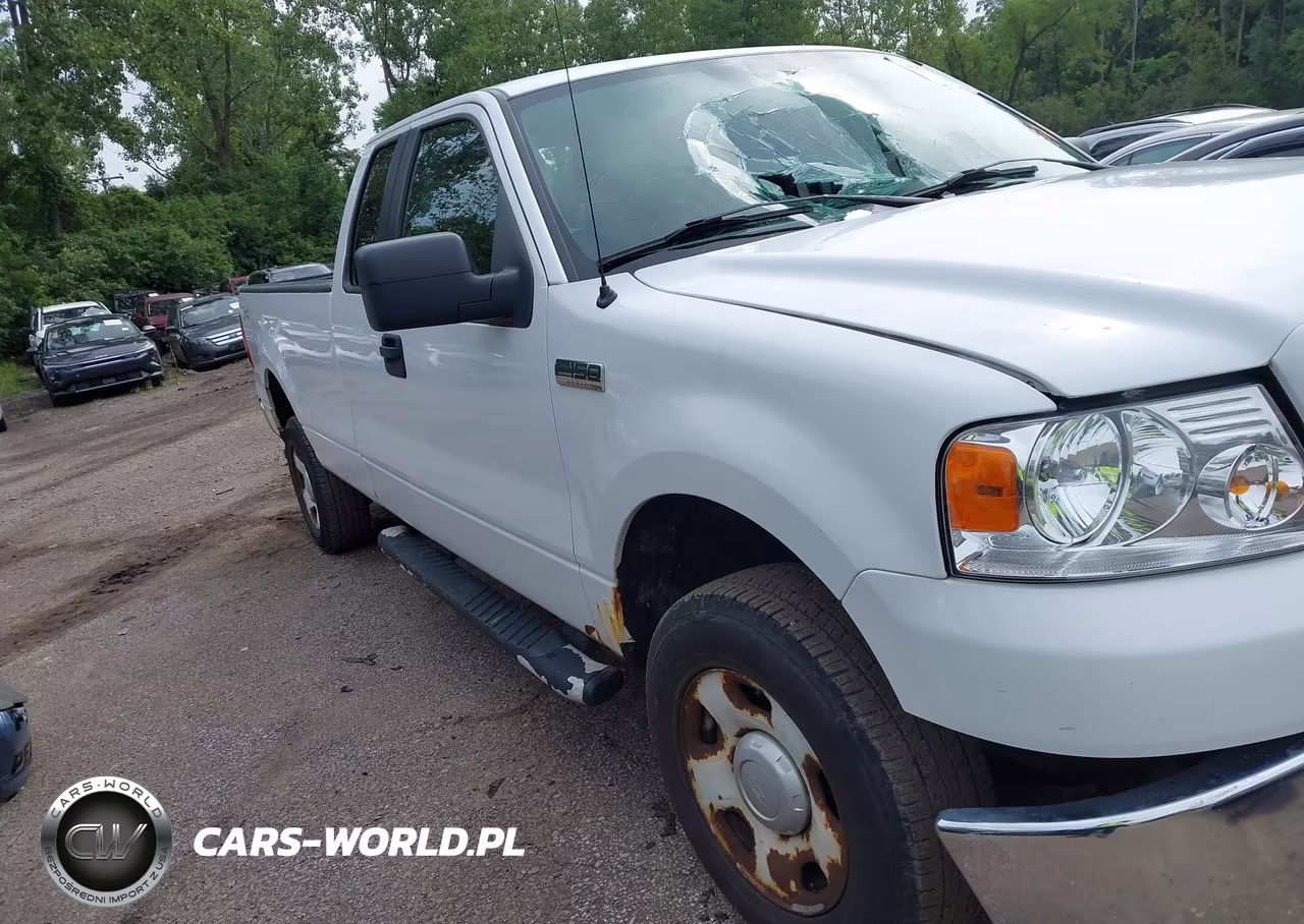 2006 Ford F-150 Fx4-Lariat-Xl-Xlt VIN:1FTVX145X6NB08196 - 13