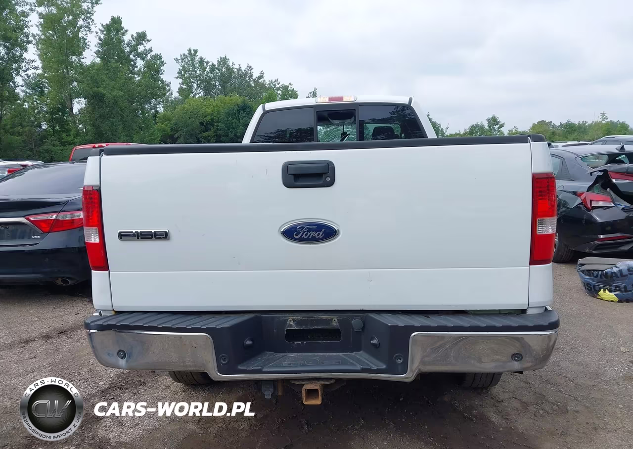 2006 Ford F-150 Fx4-Lariat-Xl-Xlt VIN:1FTVX145X6NB08196 - 16
