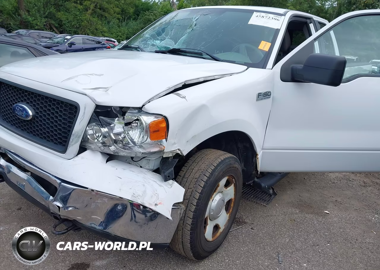 2006 Ford F-150 Fx4-Lariat-Xl-Xlt VIN:1FTVX145X6NB08196 - 6