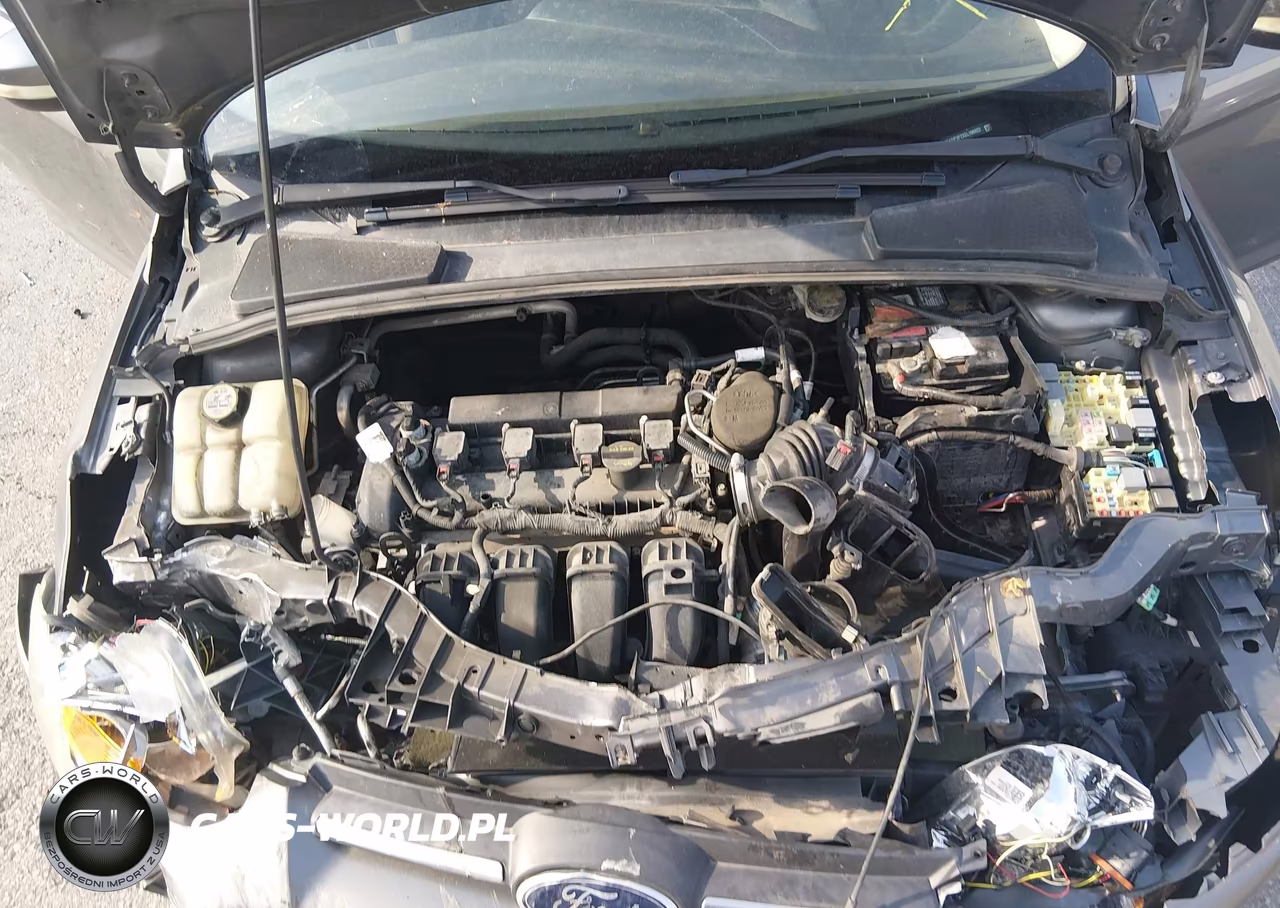 2014 Ford Focus Se VIN:1FADP3F2XEL196922 - 10