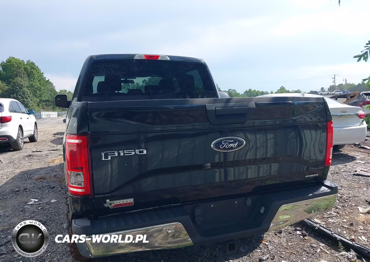 2015 Ford F-150 Xlt VIN:1FTEW1CF7FKE20023 - 16