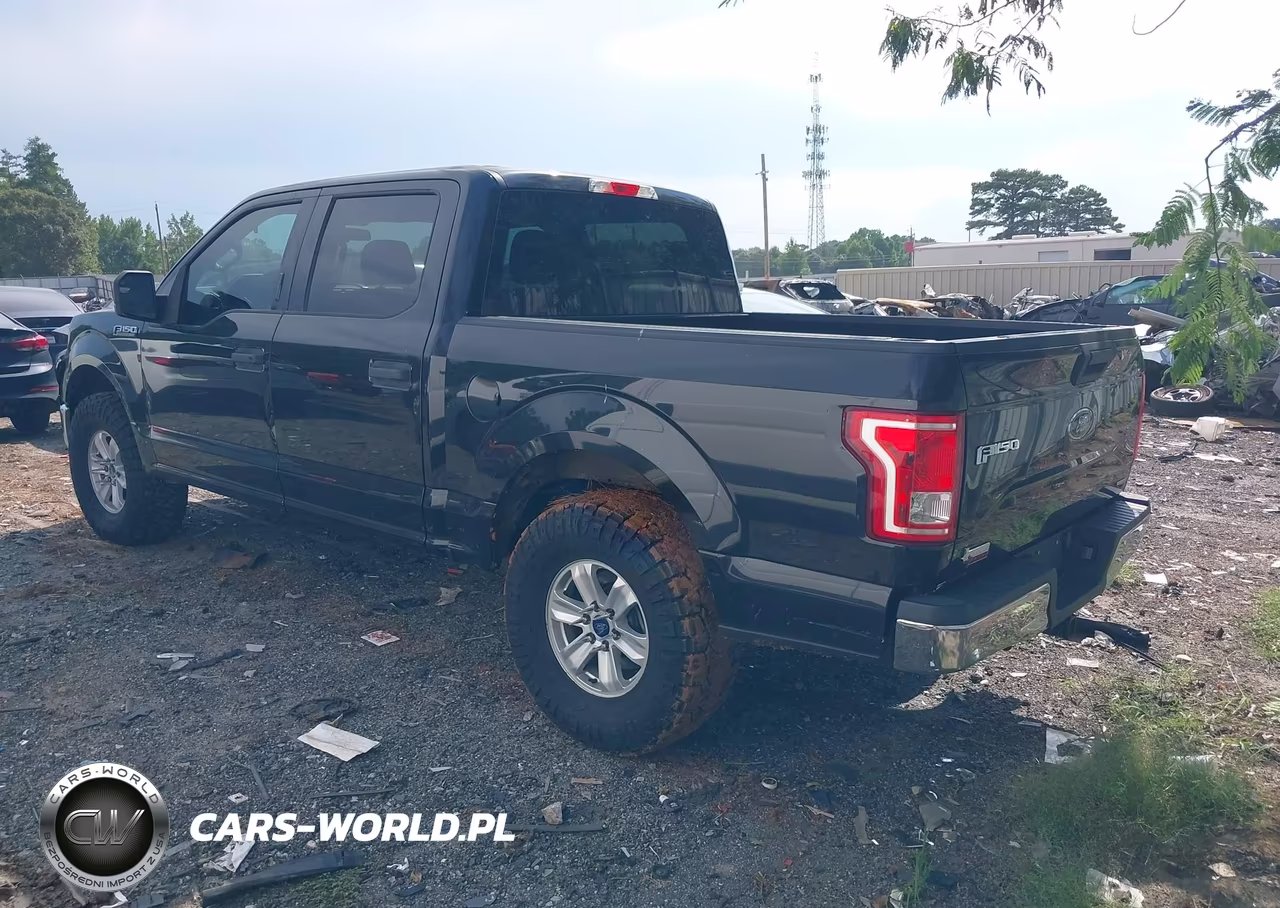 2015 Ford F-150 Xlt VIN:1FTEW1CF7FKE20023 - 3