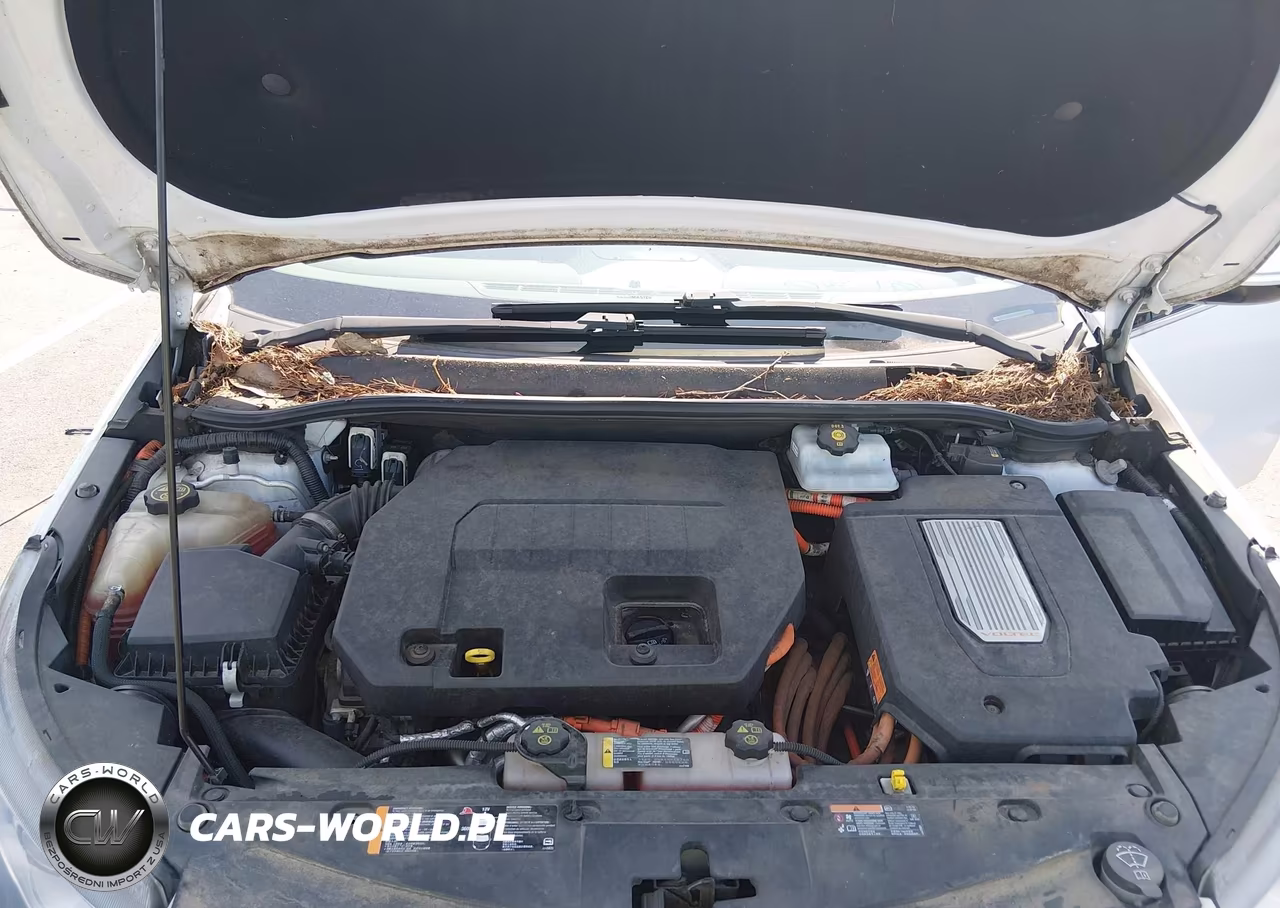 2013 Chevrolet Volt VIN:1G1RA6E45DU146436 - 10