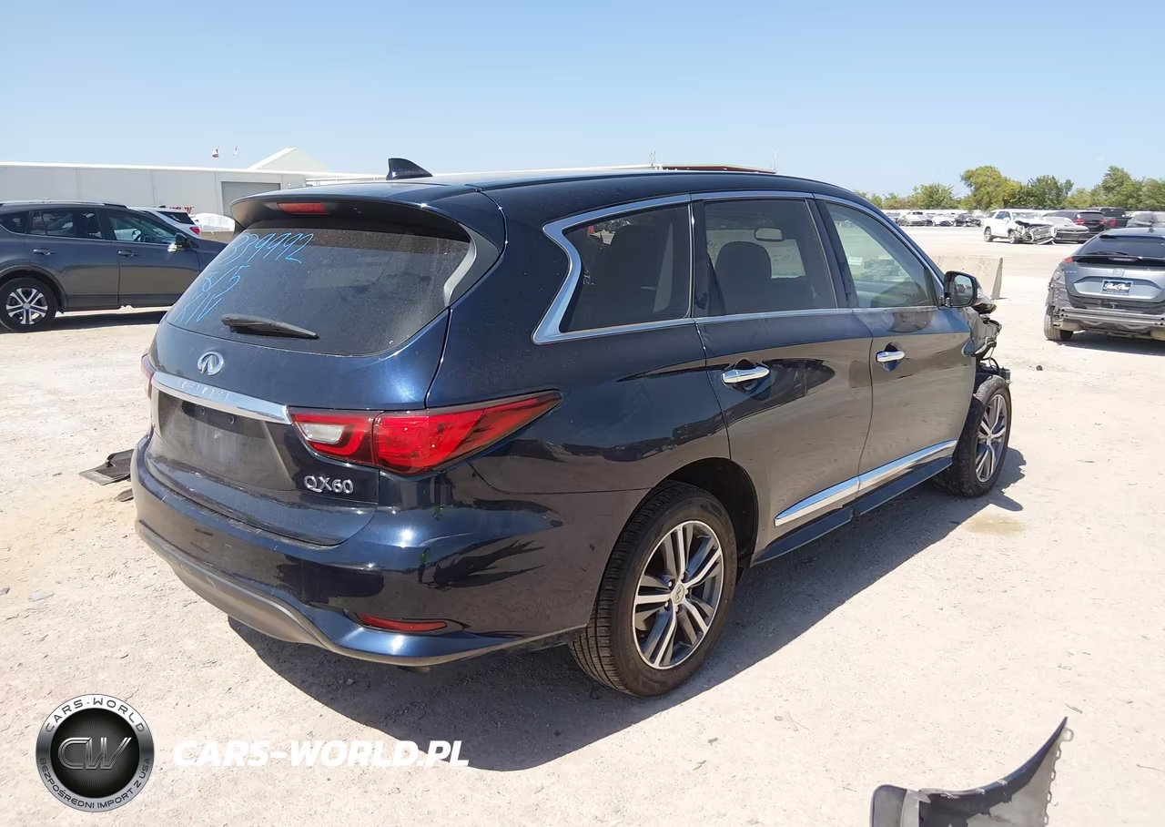 2020 Infiniti Qx60 Pure Awd VIN:5N1DL0MM6LC519767 - 4