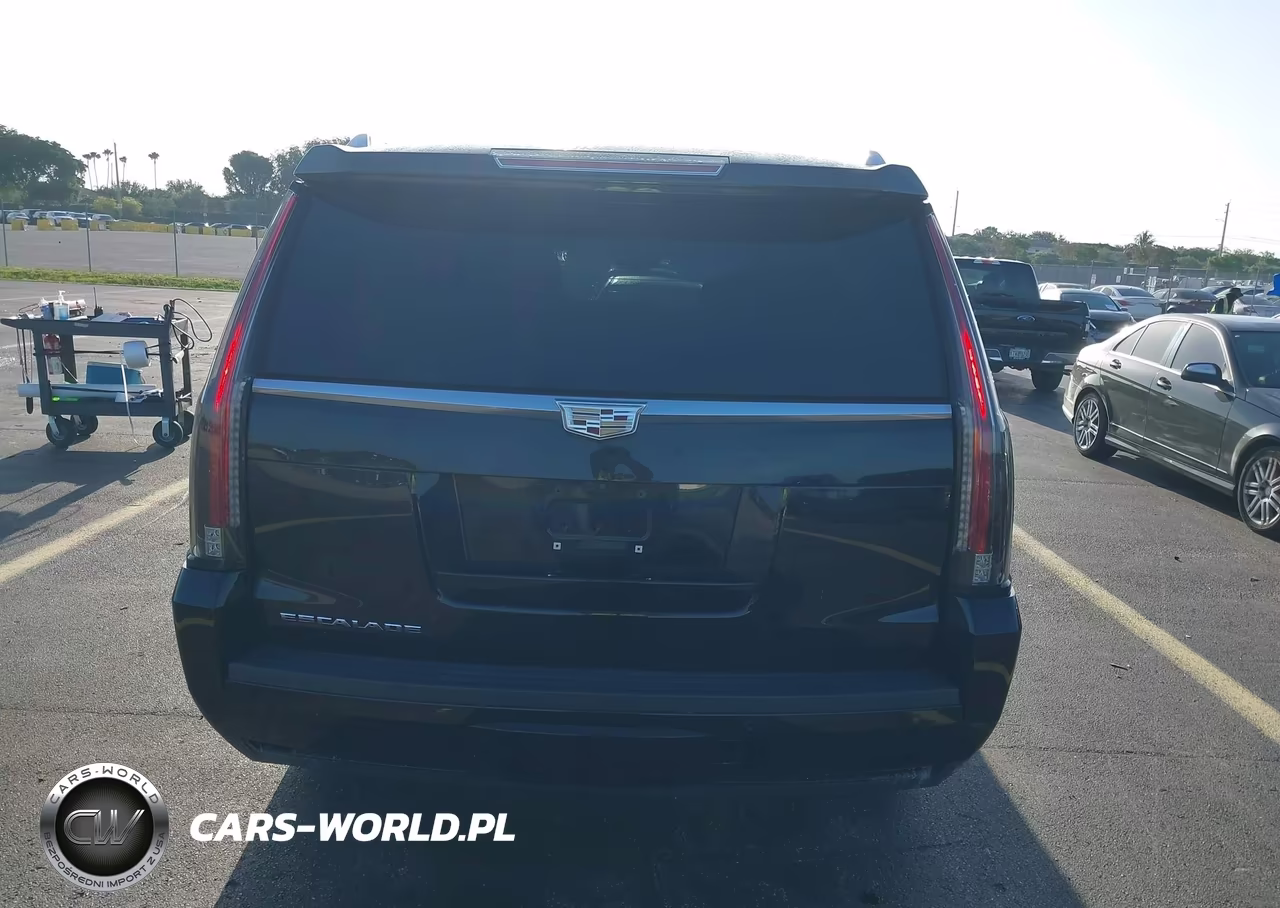 2018 Cadillac Escalade Esv Luxury VIN:1GYS3HKJ4JR316724 - 16