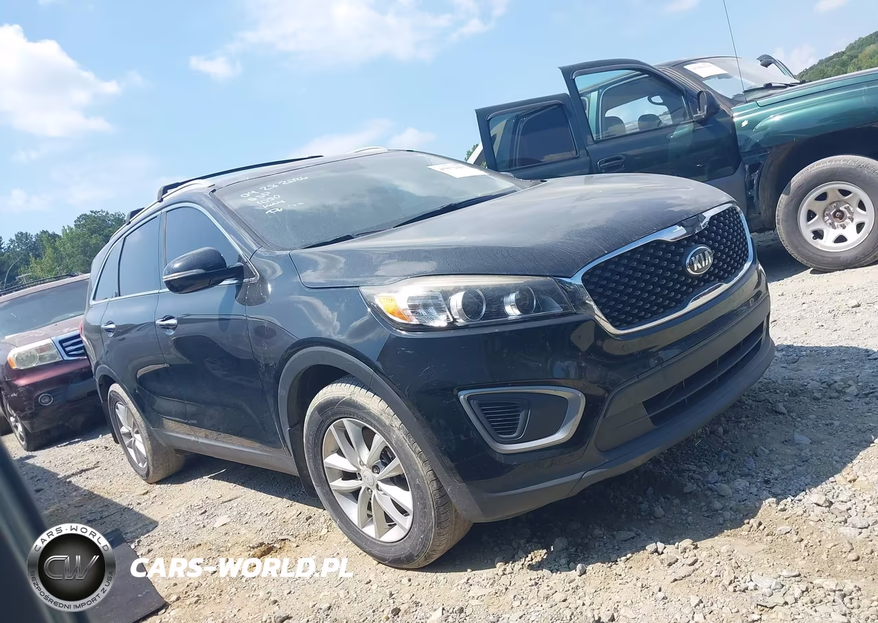 2016 Kia Sorento 3.3L Lx VIN:5XYPG4A52GG037910 - 13