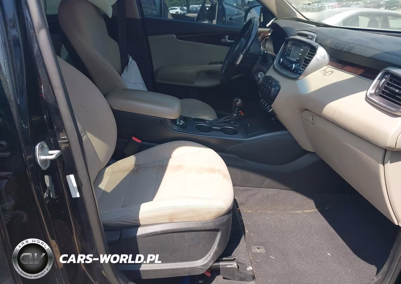 2016 Kia Sorento 3.3L Lx VIN:5XYPG4A52GG037910 - 5