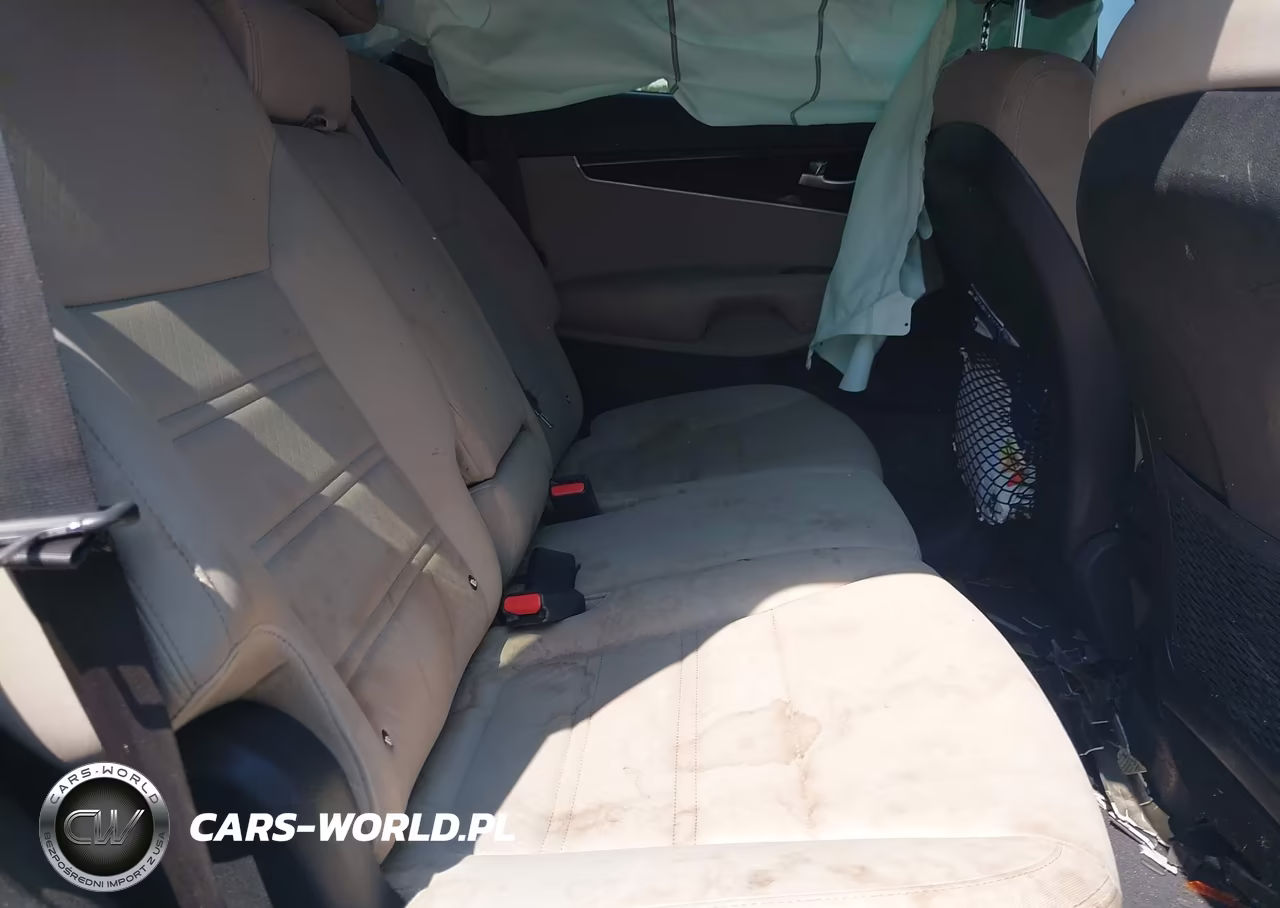 2016 Kia Sorento 3.3L Lx VIN:5XYPG4A52GG037910 - 8
