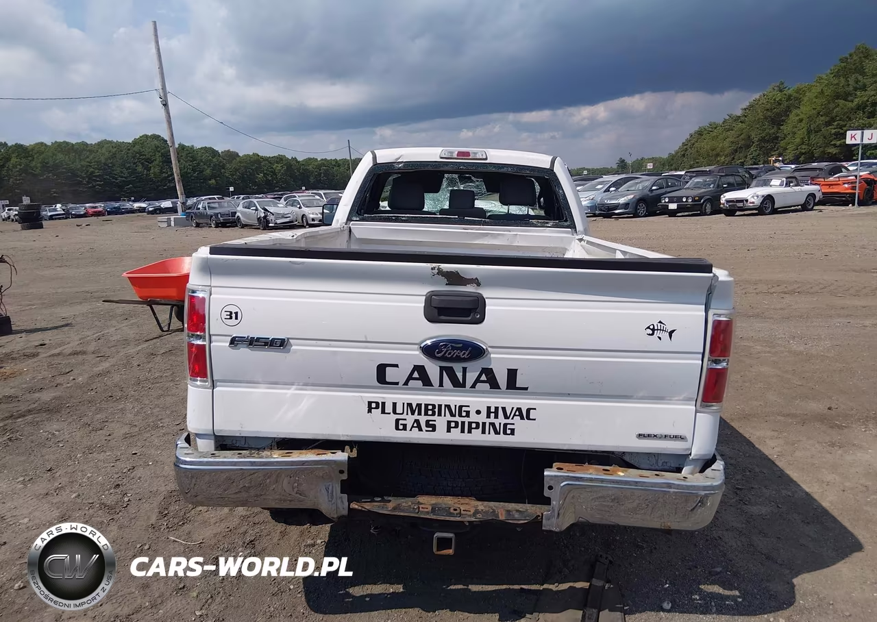 2013 Ford F-150 Xl VIN:1FTMF1CMXDKG01494 - 16