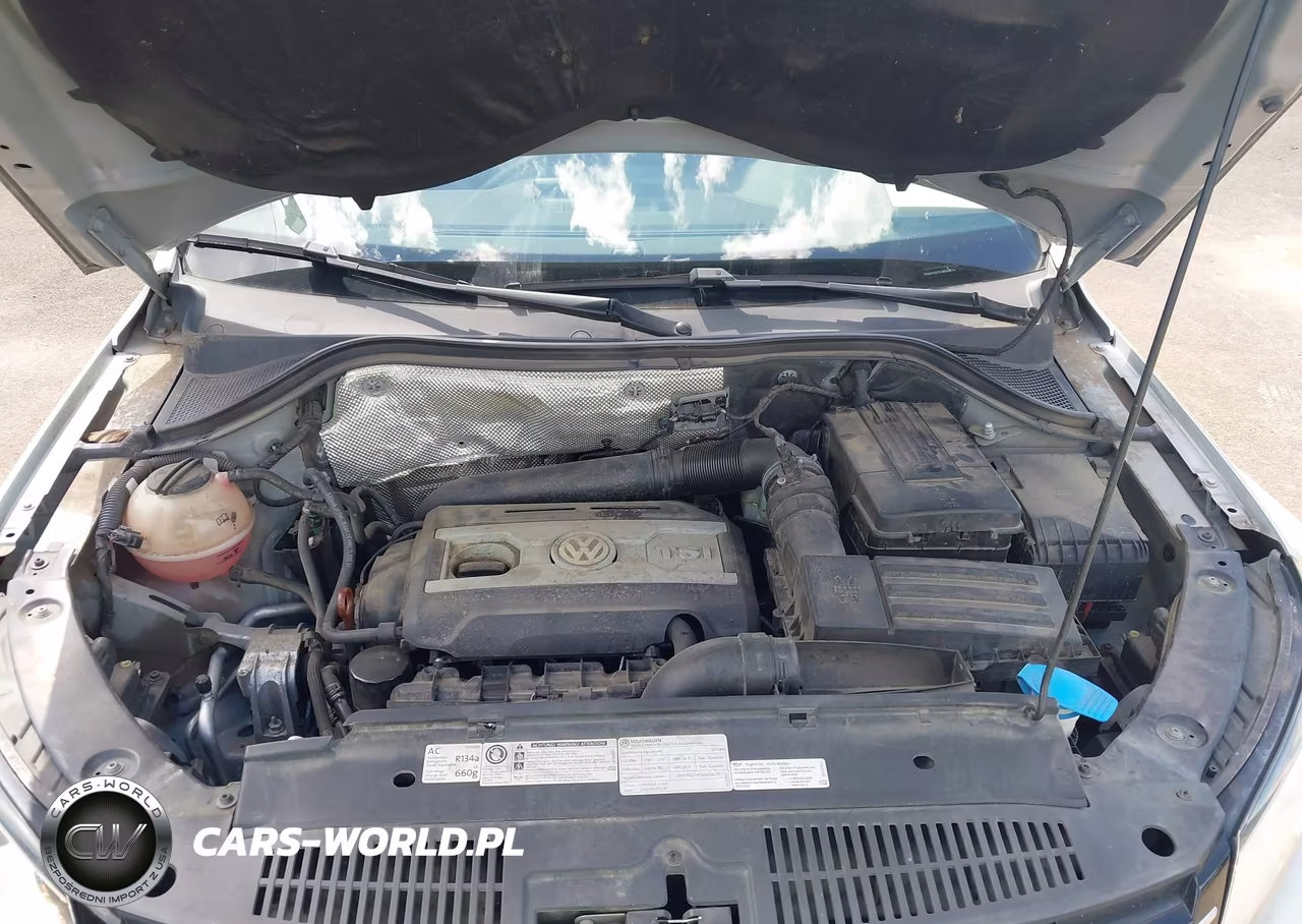 2012 Volkswagen Tiguan Le VIN:WVGAV7AX7CW569774 - 10