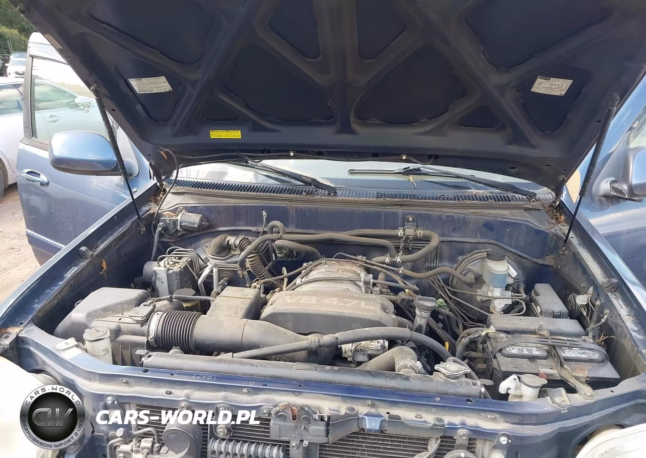 2002 Toyota Sequoia Sr5 V8 VIN:5TDZT34A62S085302 - 10