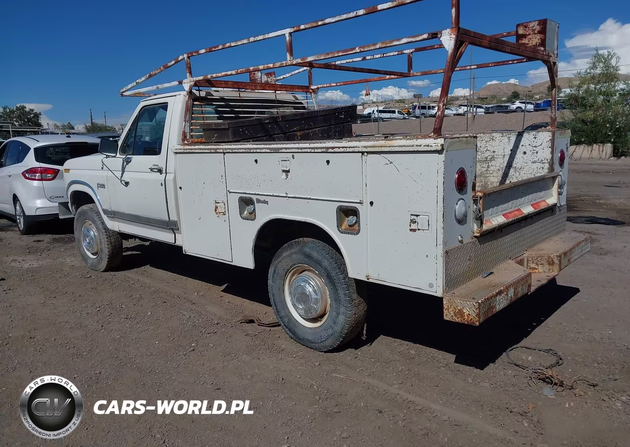 1984 Ford F250 VIN:1FTHF26L6EPA11341 - 3