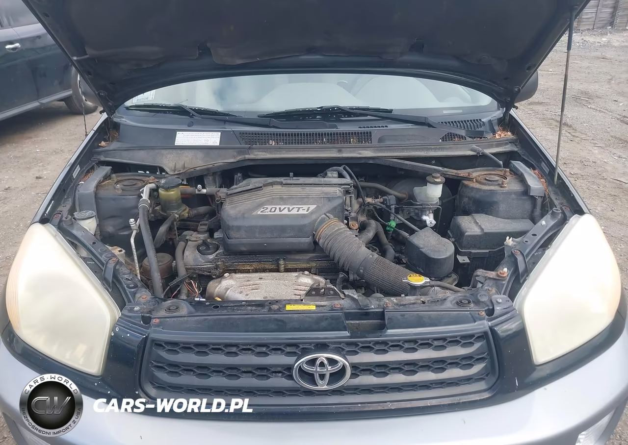 2003 Toyota Rav4 VIN:JTEGH20V530087411 - 10