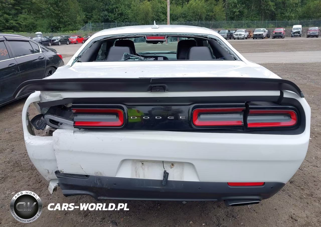 2019 Dodge Challenger R-T Scat Pack VIN:2C3CDZFJ4KH596481 - 17