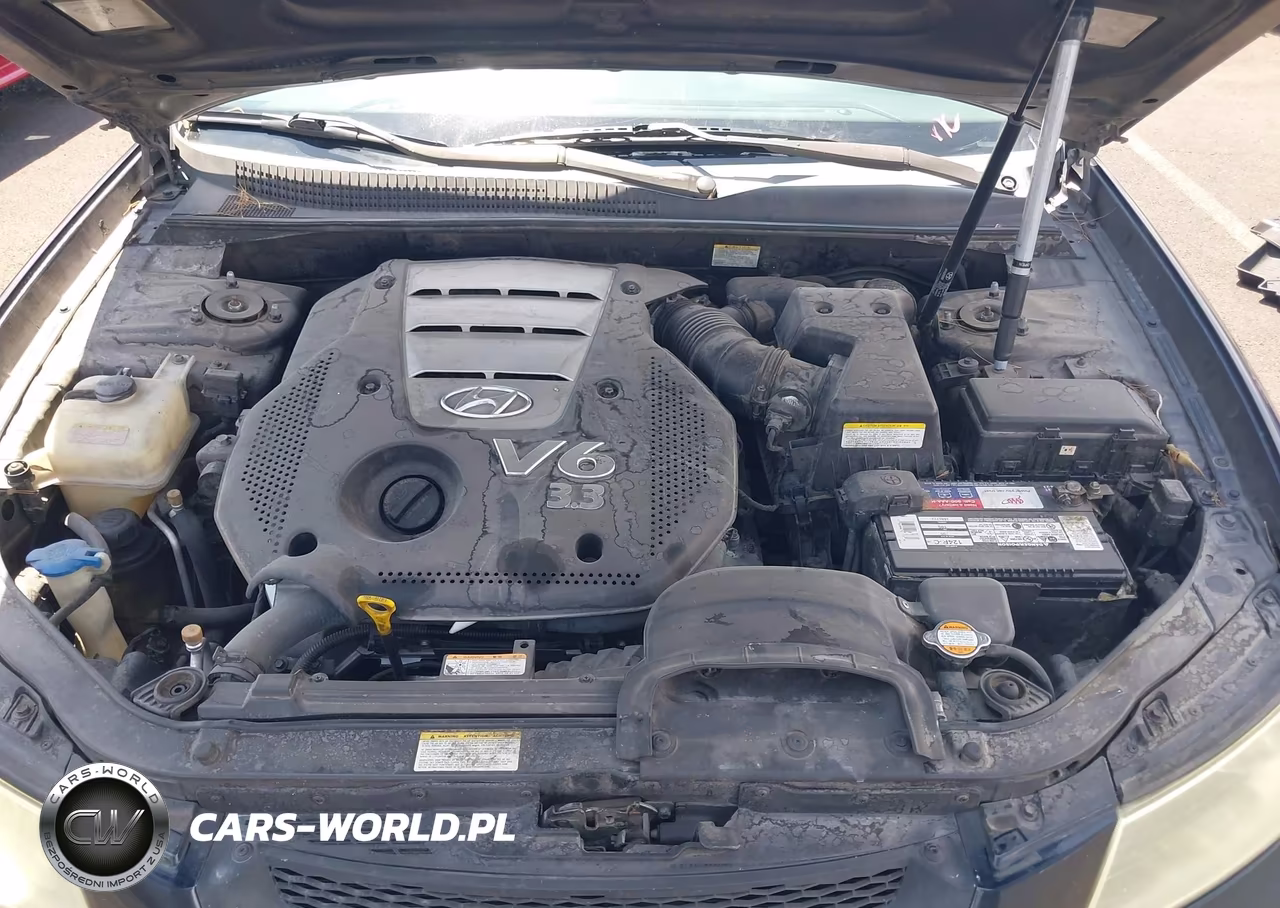 2006 Hyundai Sonata Gls V6-Lx V6 VIN:5NPEU46F56H149562 - 10