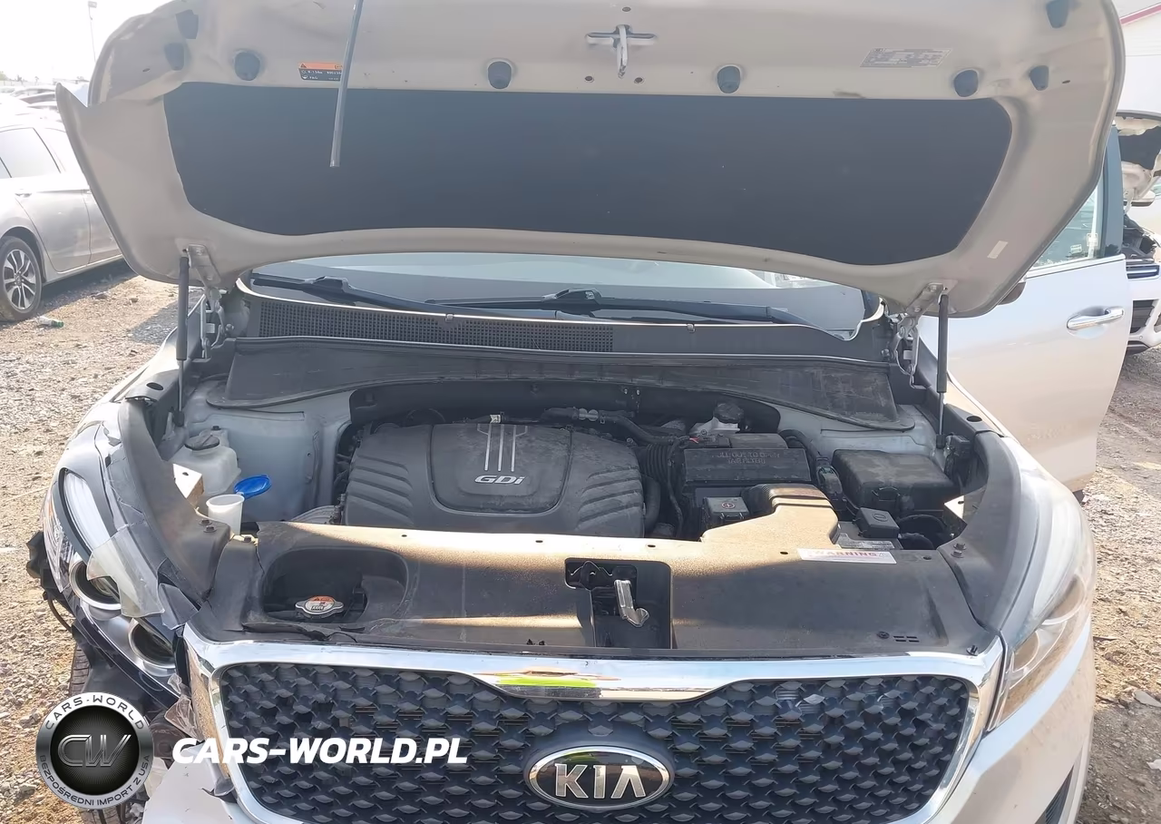 2018 Kia Sorento 3.3L Lx VIN:5XYPGDA50JG364264 - 10