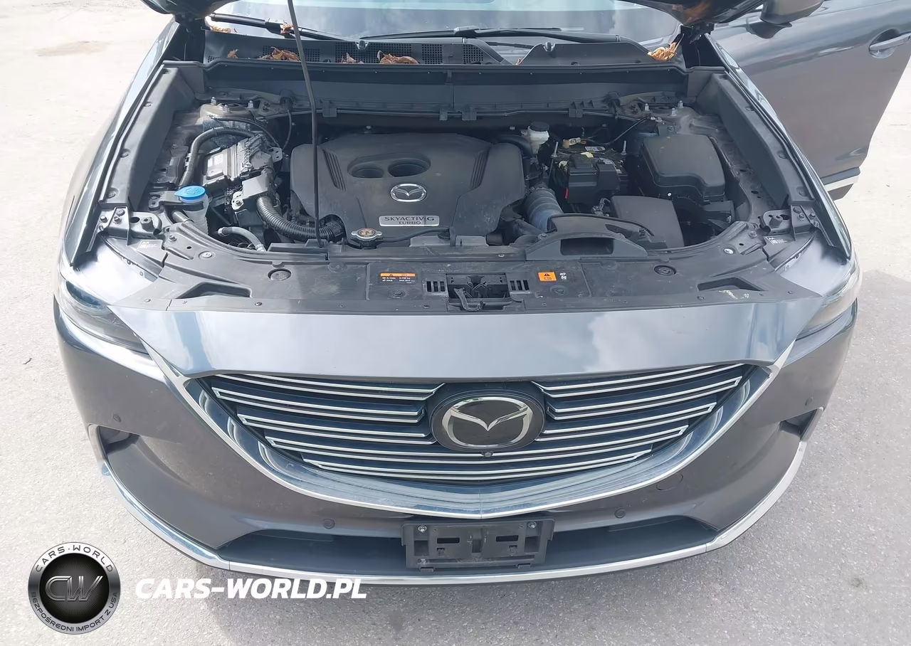 2021 Mazda Cx-9 Grand Touring VIN:JM3TCBDY2M0541550 - 10
