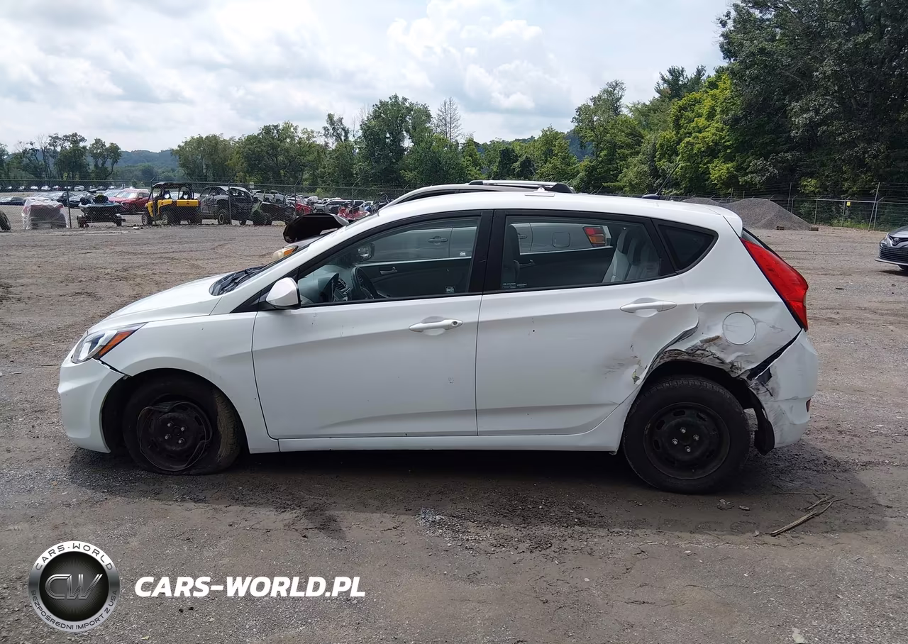 2014 Hyundai Accent Gs VIN:KMHCT5AE6EU176445 - 14