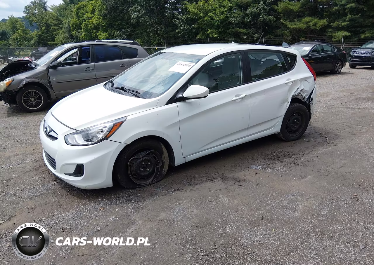 2014 Hyundai Accent Gs VIN:KMHCT5AE6EU176445 - 2