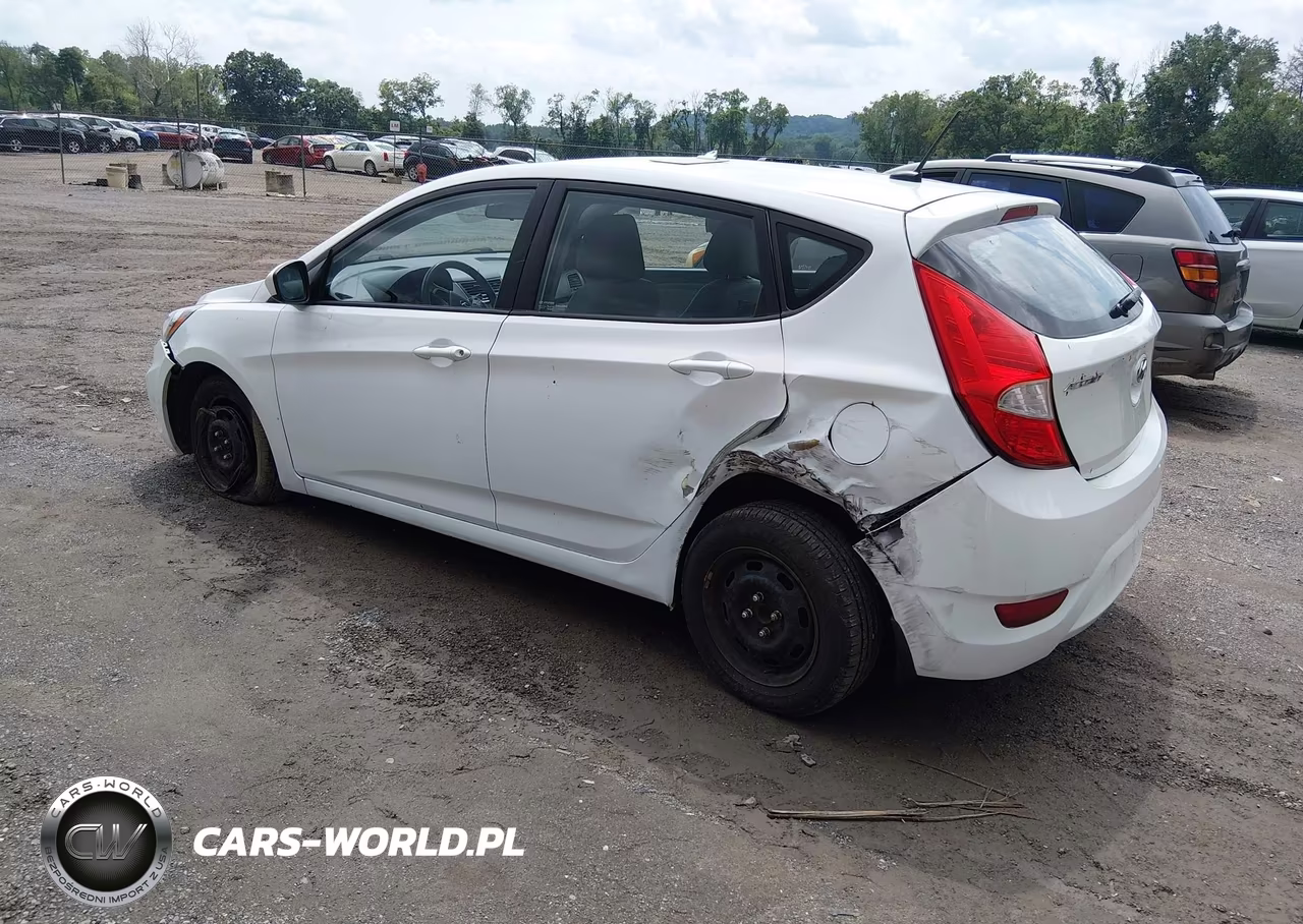 2014 Hyundai Accent Gs VIN:KMHCT5AE6EU176445 - 3
