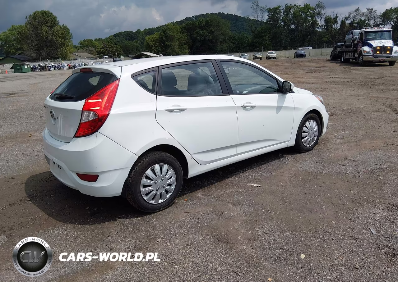 2014 Hyundai Accent Gs VIN:KMHCT5AE6EU176445 - 4