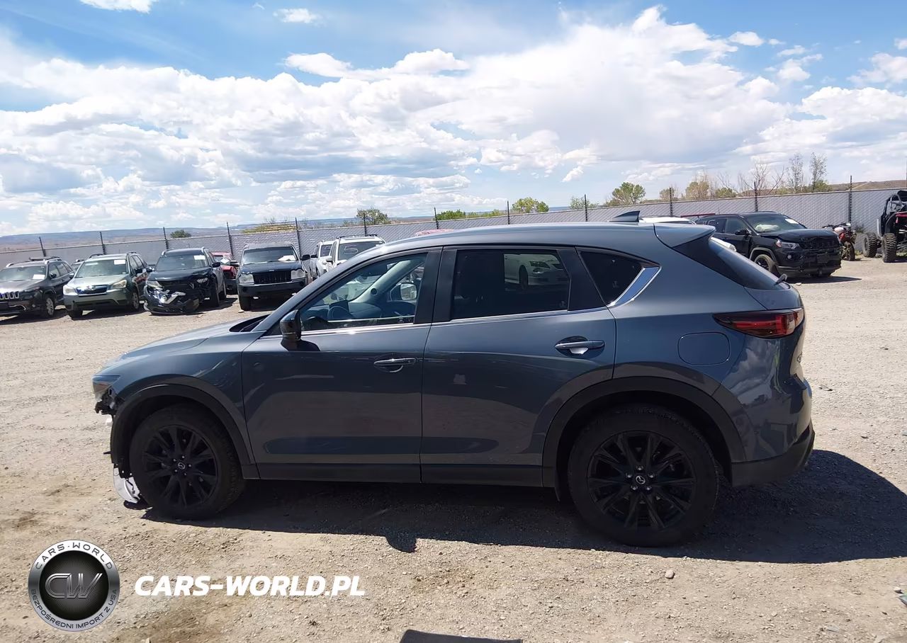 2025 Mazda Cx-5 2.5 S Carbon Edition VIN:JM3KFBCMXS0670845 - 15
