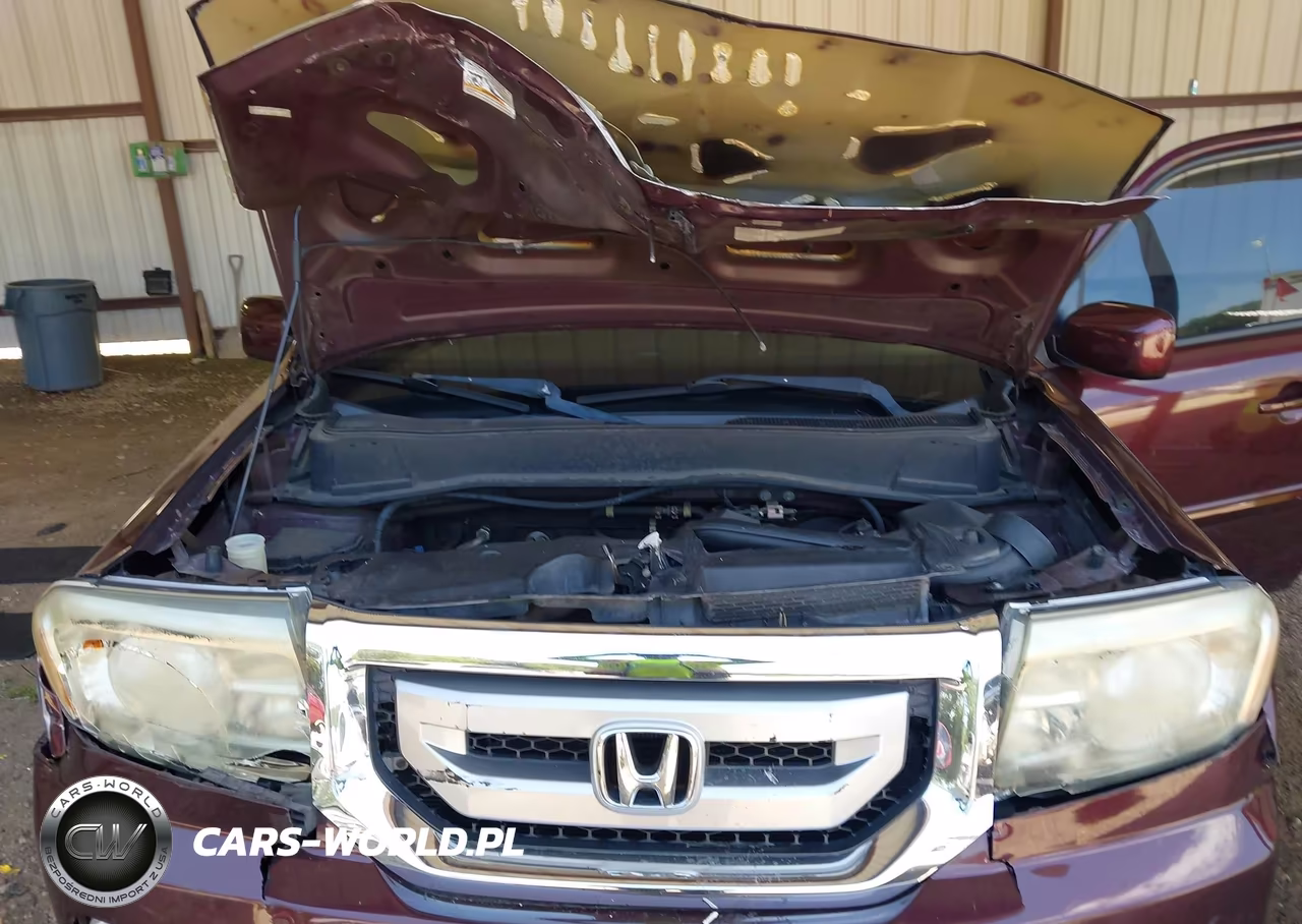 2009 Honda Pilot Ex-L VIN:5FNYF48589B035344 - 10