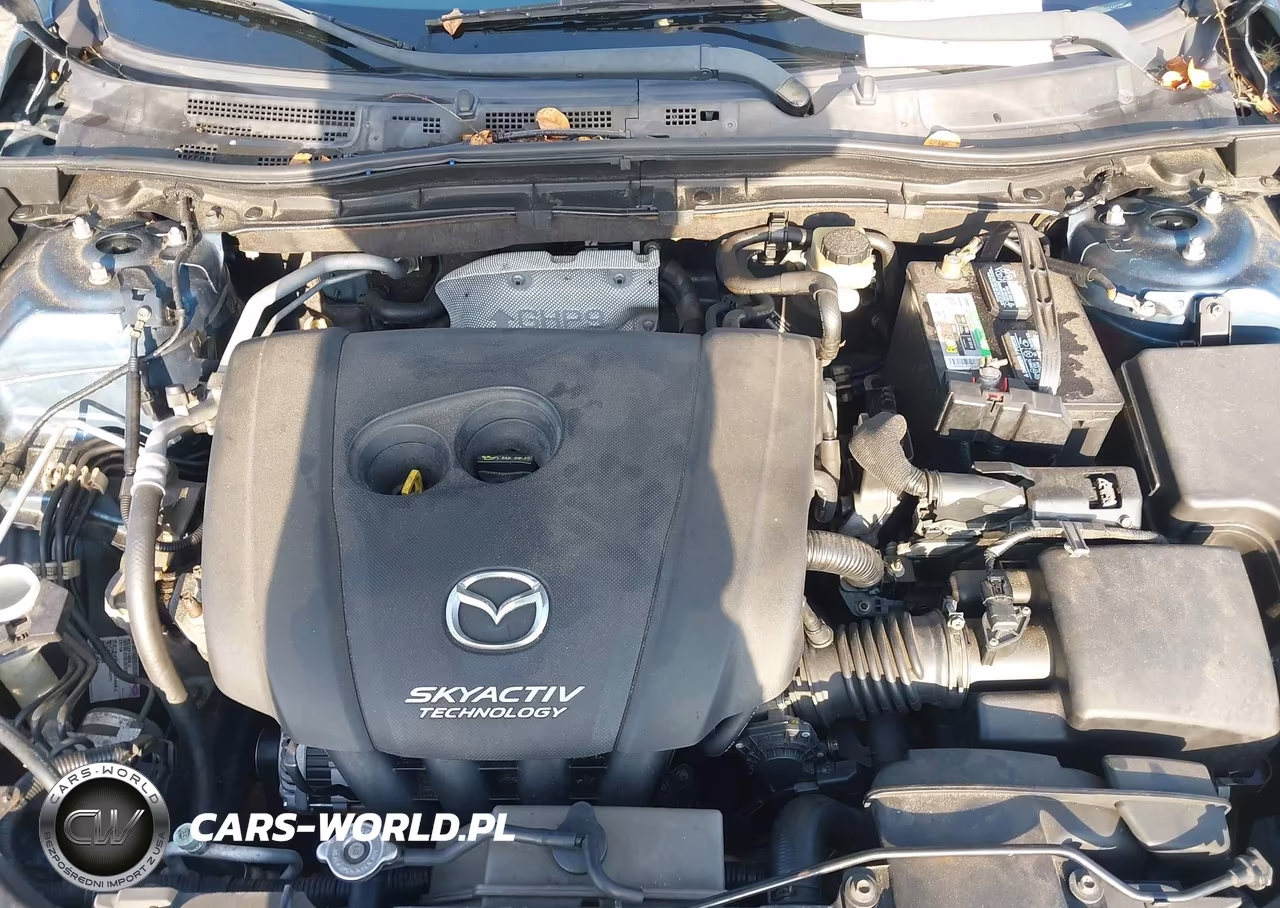 2014 Mazda Mazda3 I Sport VIN:JM1BM1U77E1161196 - 10