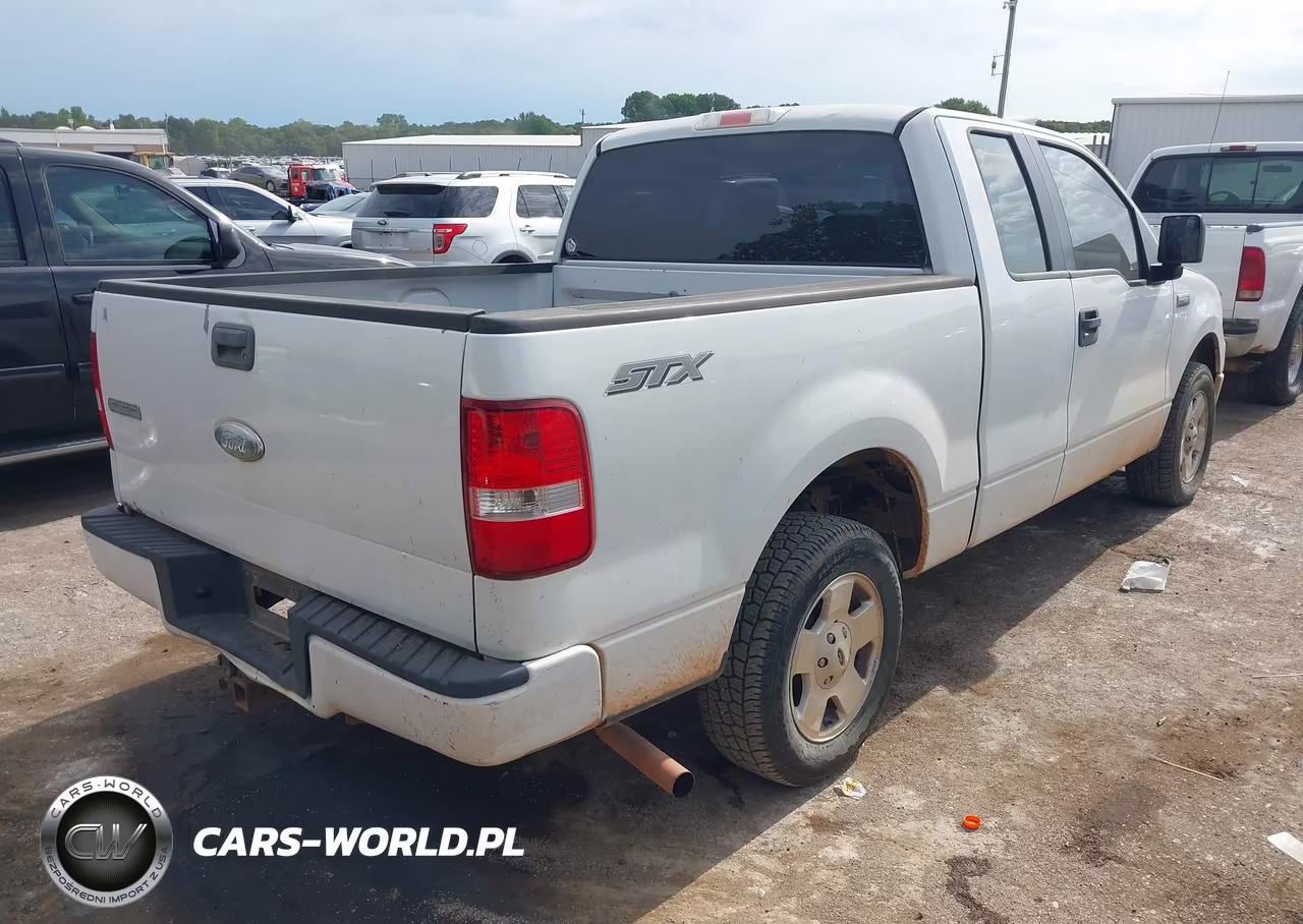 2006 Ford F-150 Stx-Xl-Xlt VIN:1FTRX12W76KD31875 - 4