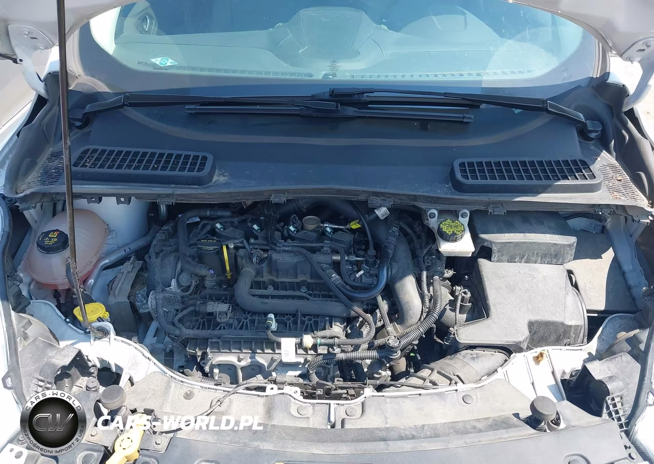 2019 Ford Escape Se VIN:1FMCU0GD0KUA03062 - 10