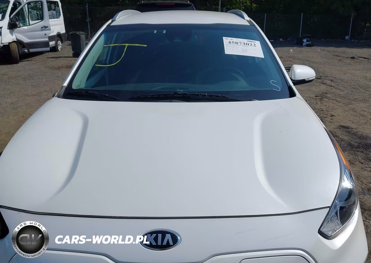 2019 Kia Niro Ev Ex VIN:KNDCC3LG5K5023732 - 10