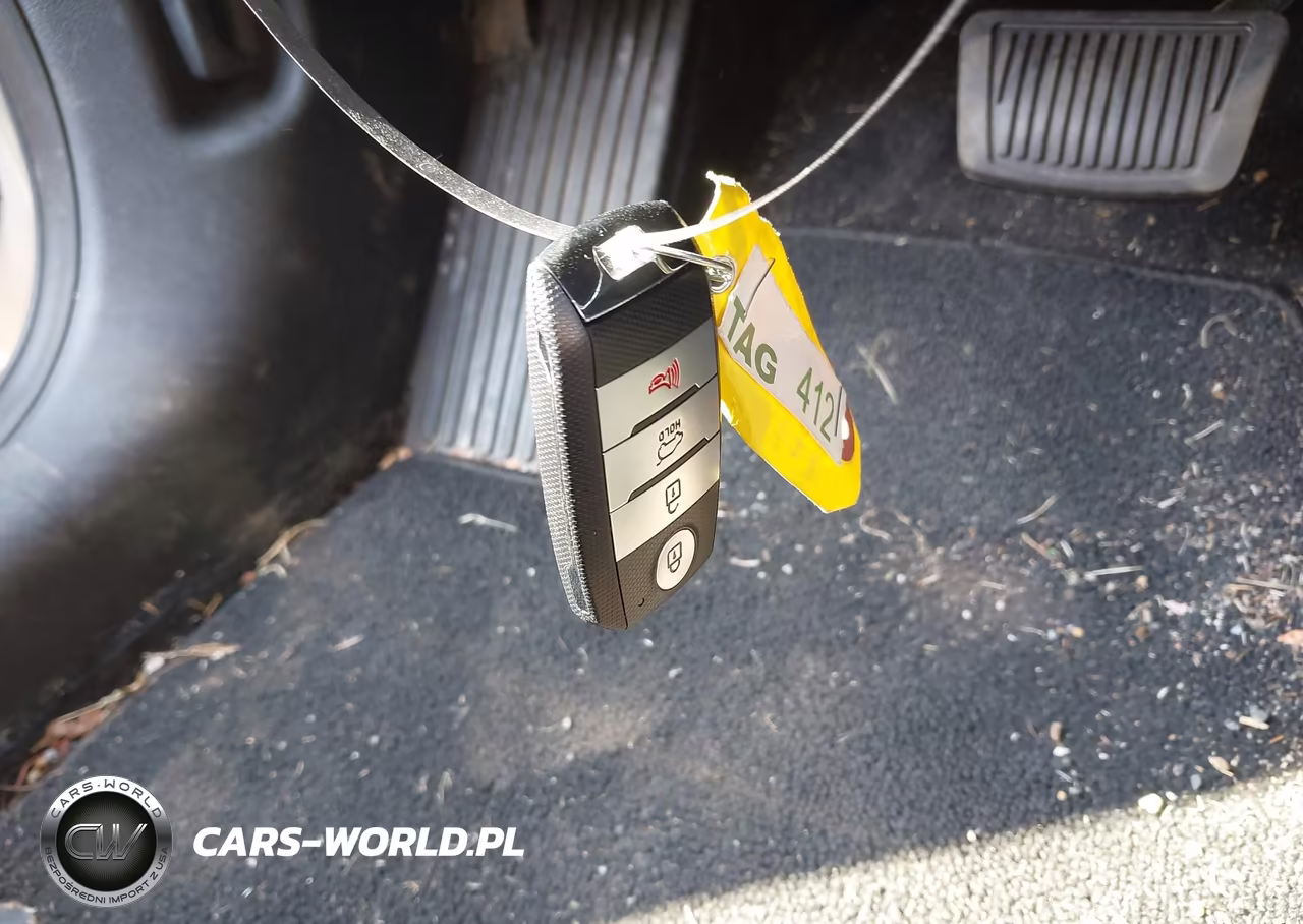 2019 Kia Niro Ev Ex VIN:KNDCC3LG5K5023732 - 11
