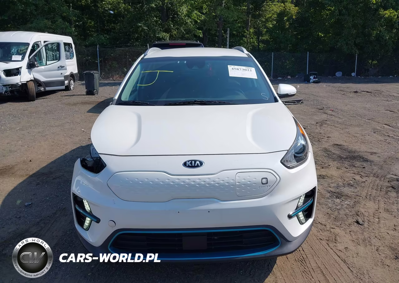 2019 Kia Niro Ev Ex VIN:KNDCC3LG5K5023732 - 12