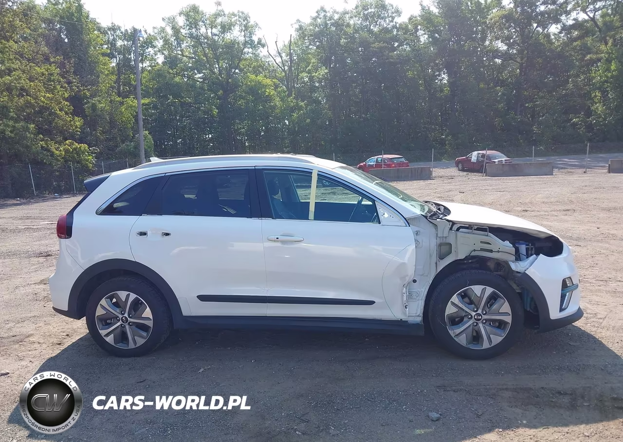 2019 Kia Niro Ev Ex VIN:KNDCC3LG5K5023732 - 13