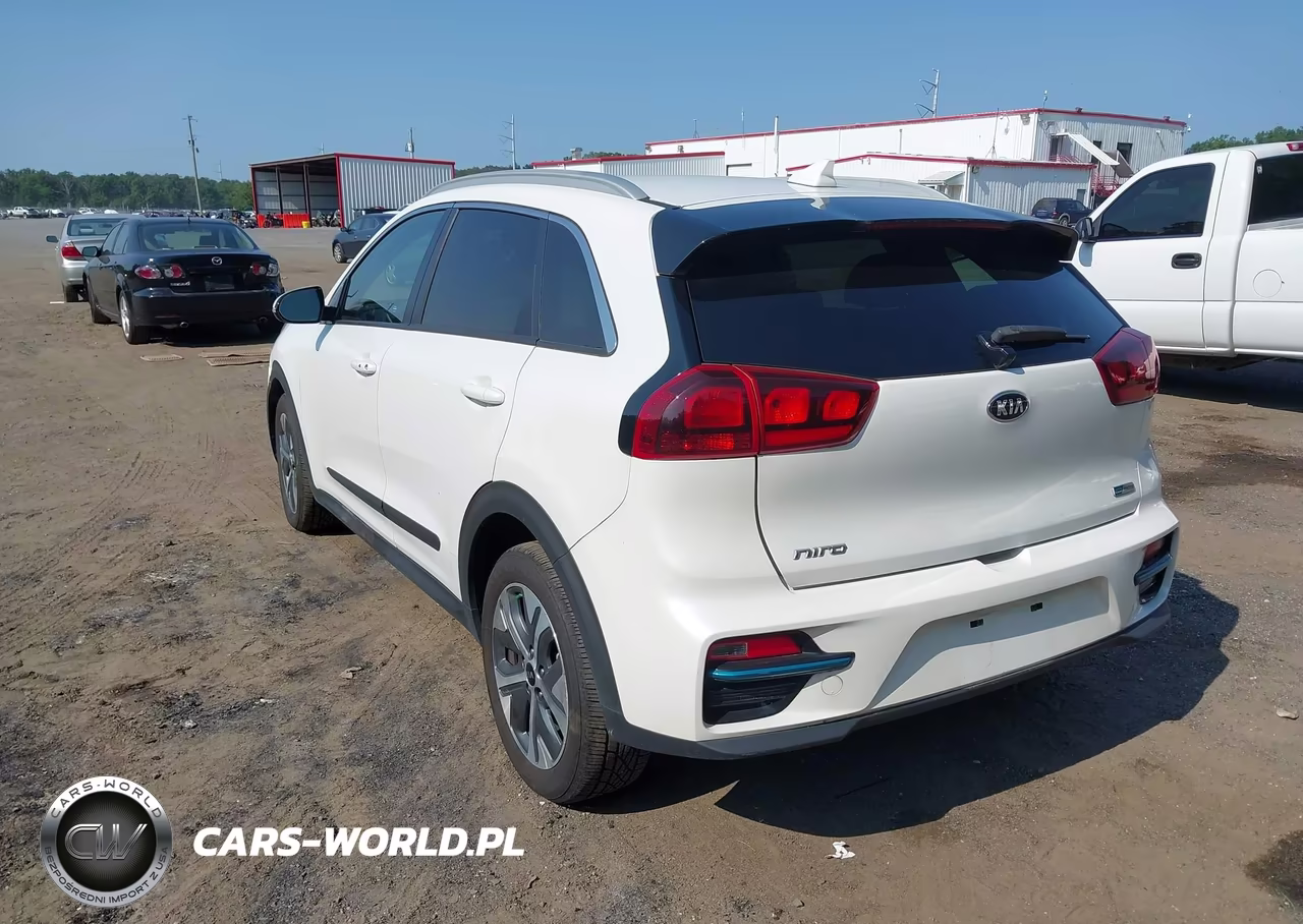 2019 Kia Niro Ev Ex VIN:KNDCC3LG5K5023732 - 3