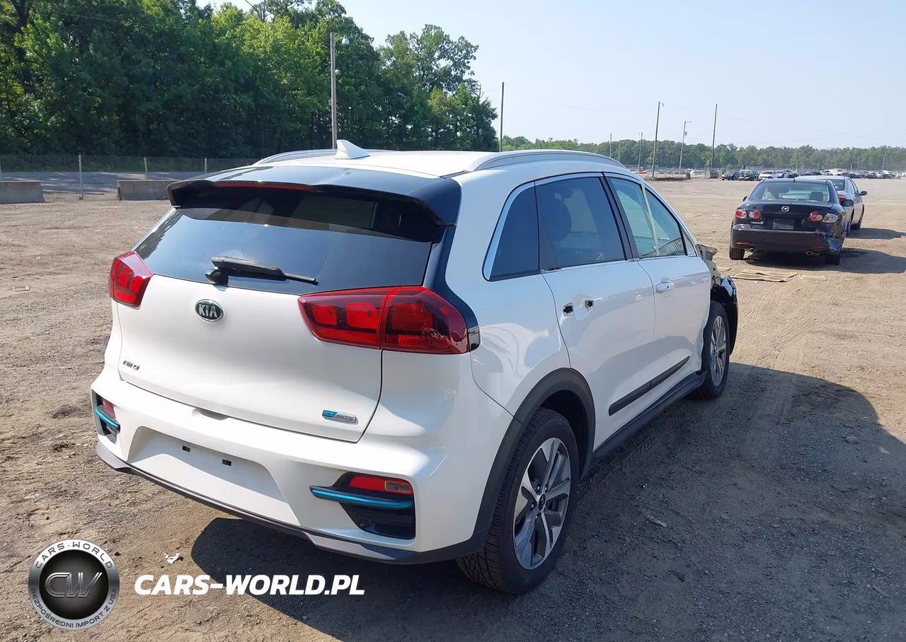 2019 Kia Niro Ev Ex VIN:KNDCC3LG5K5023732 - 4