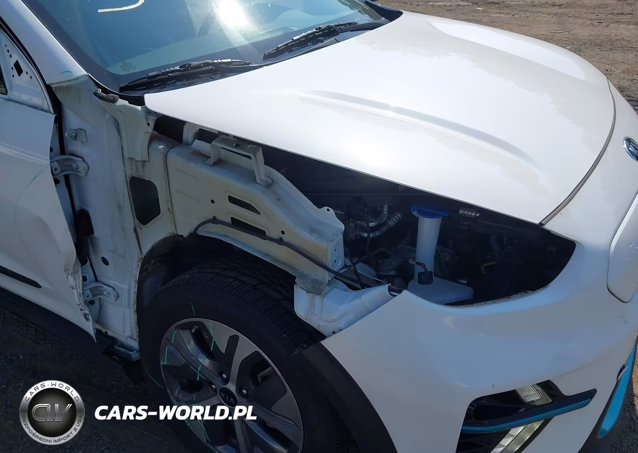 2019 Kia Niro Ev Ex VIN:KNDCC3LG5K5023732 - 6