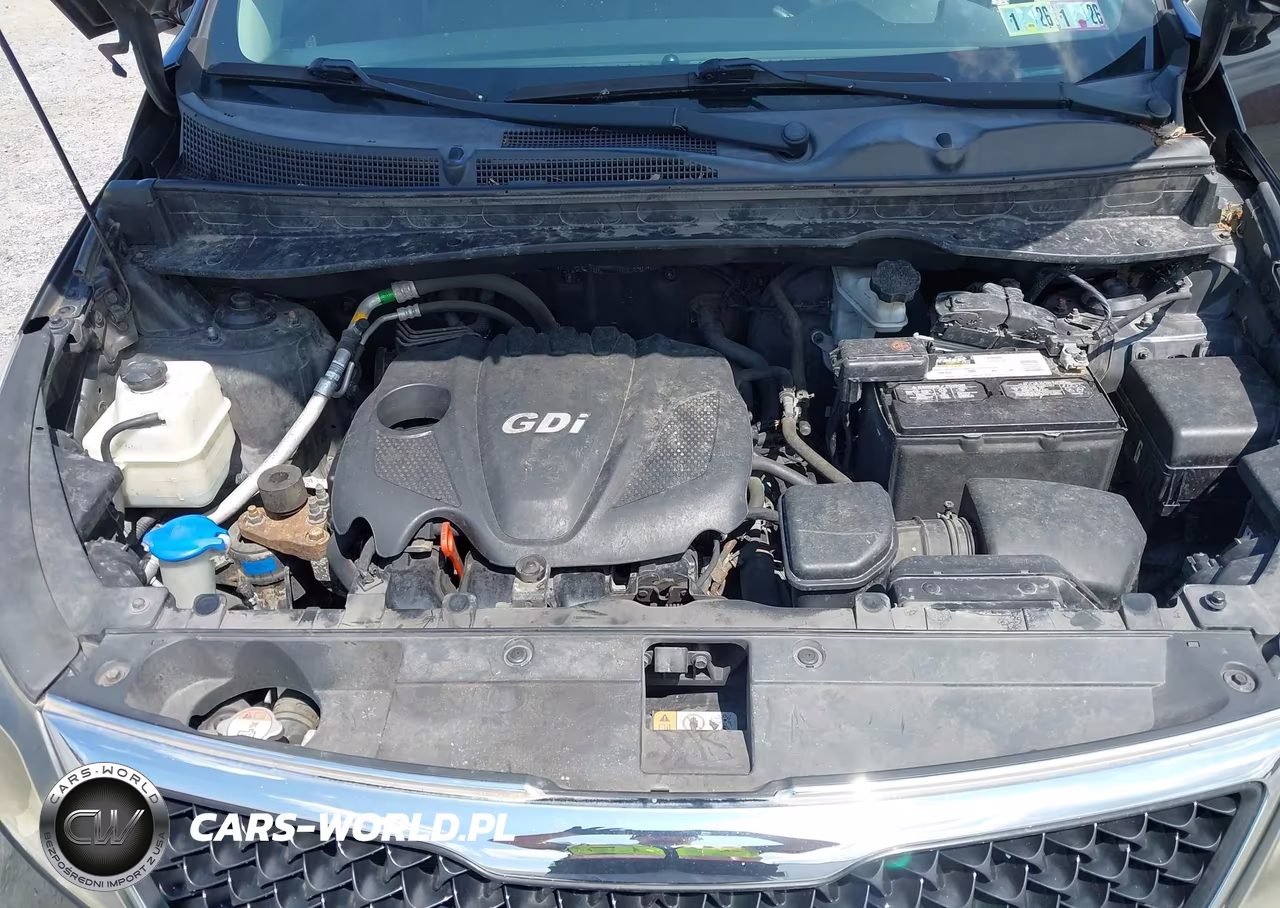 2014 Kia Sportage Ex VIN:KNDPC3AC4E7554768 - 10