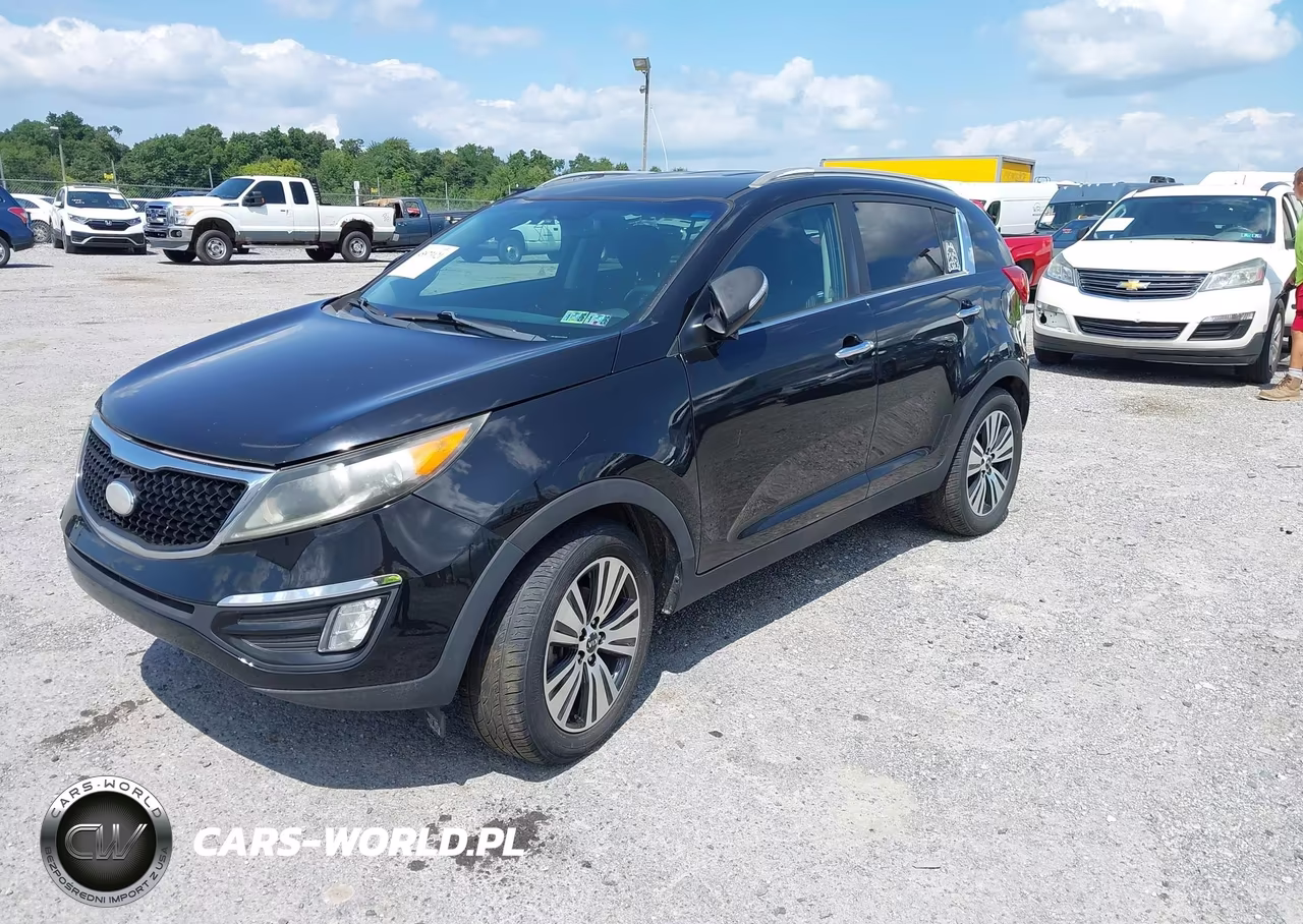 2014 Kia Sportage Ex VIN:KNDPC3AC4E7554768 - 2