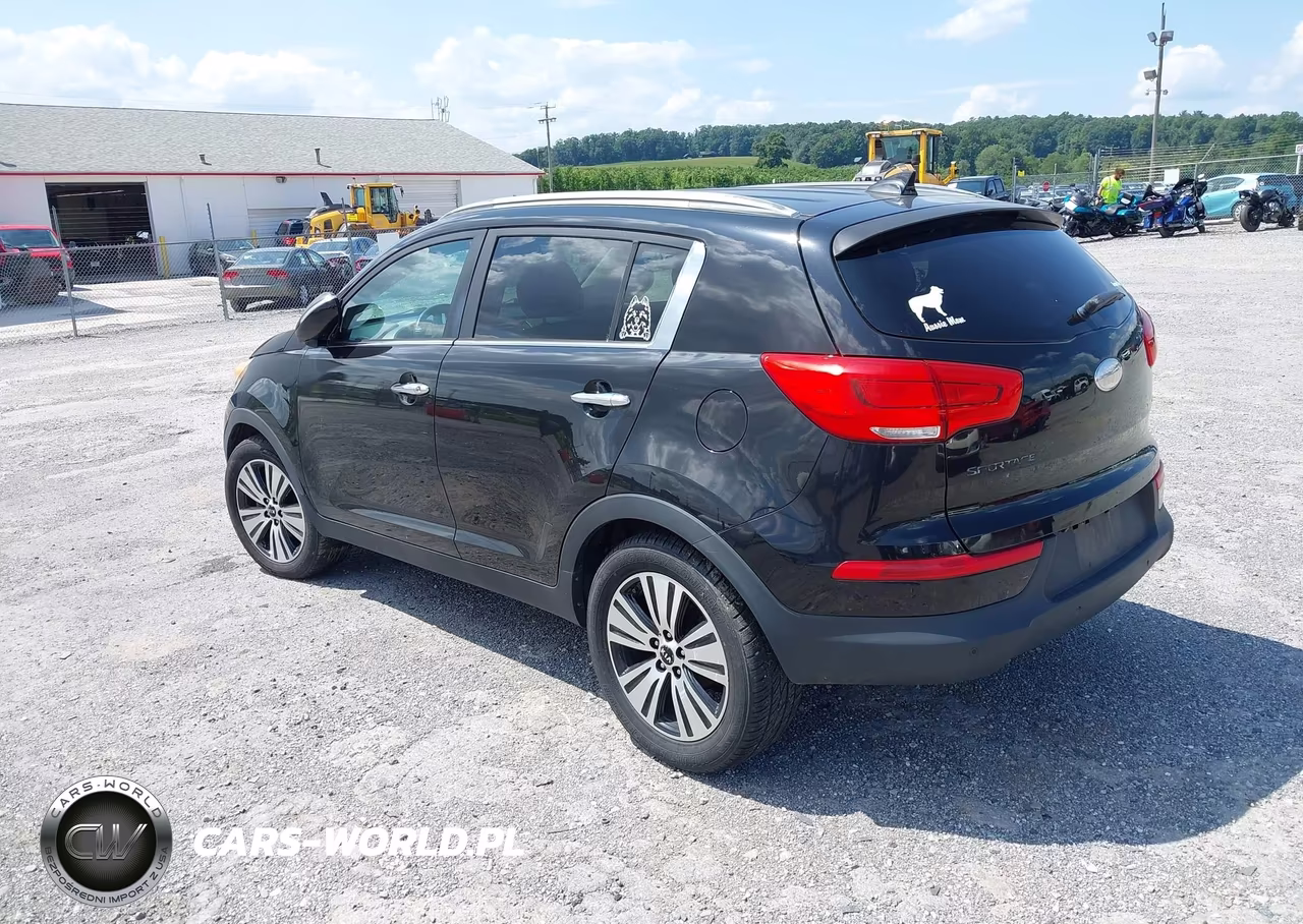 2014 Kia Sportage Ex VIN:KNDPC3AC4E7554768 - 3
