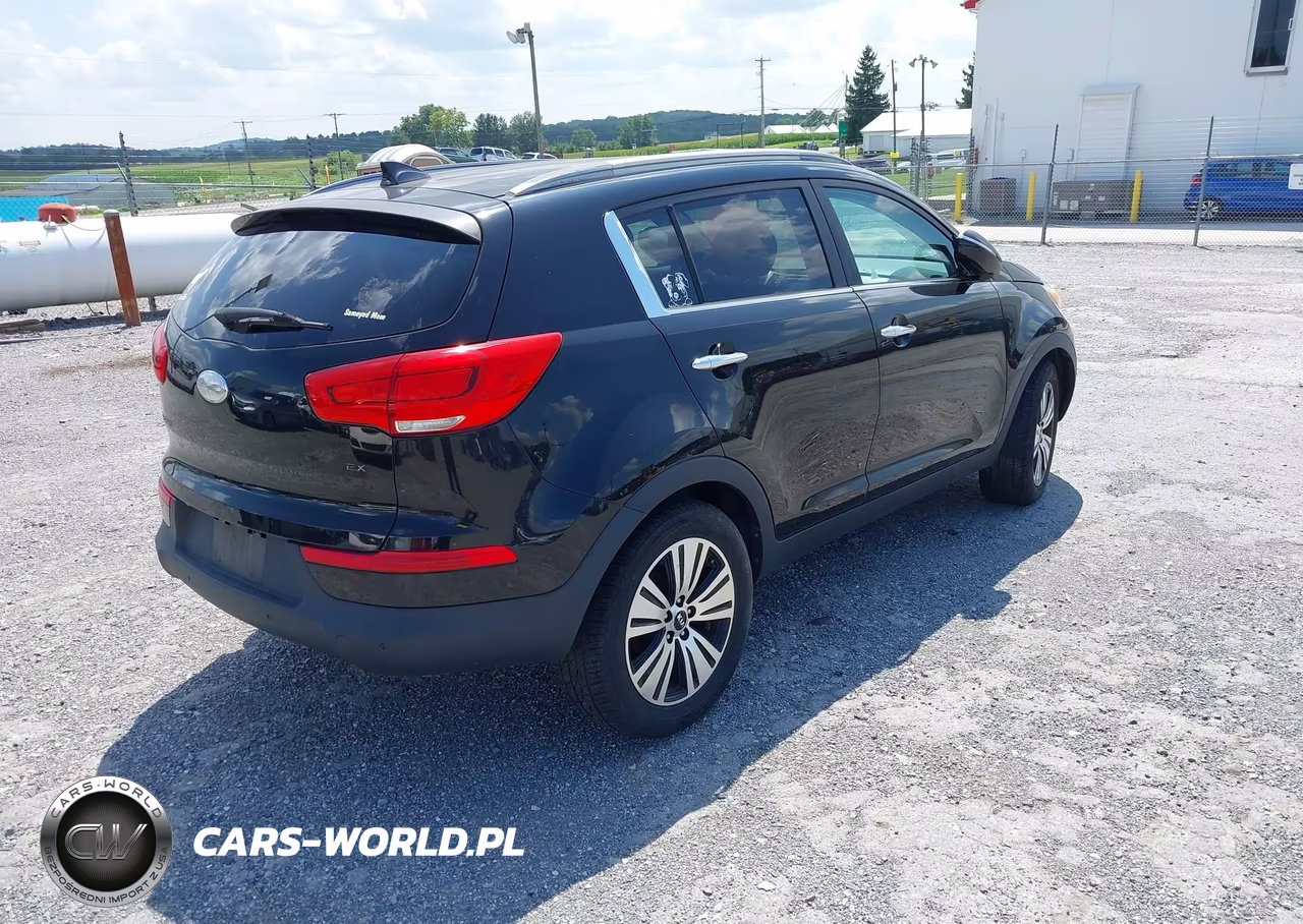 2014 Kia Sportage Ex VIN:KNDPC3AC4E7554768 - 4