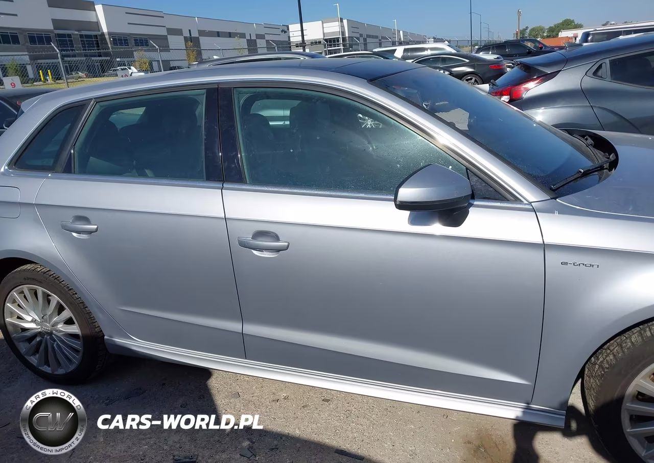 2017 Audi A3 Sportback E-Tron Premium Plus VIN:WAUTPBFF9HA043190 - 13