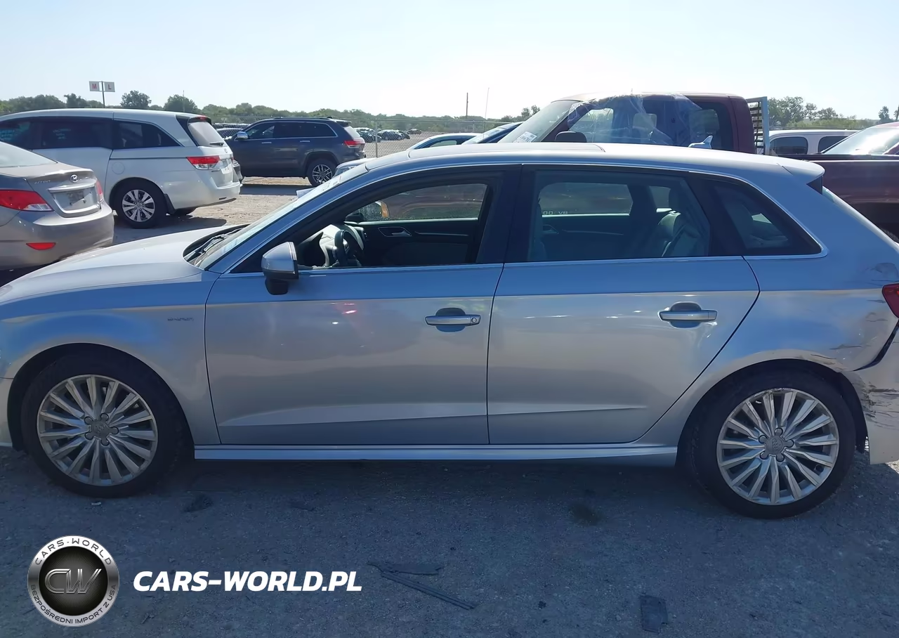 2017 Audi A3 Sportback E-Tron Premium Plus VIN:WAUTPBFF9HA043190 - 14