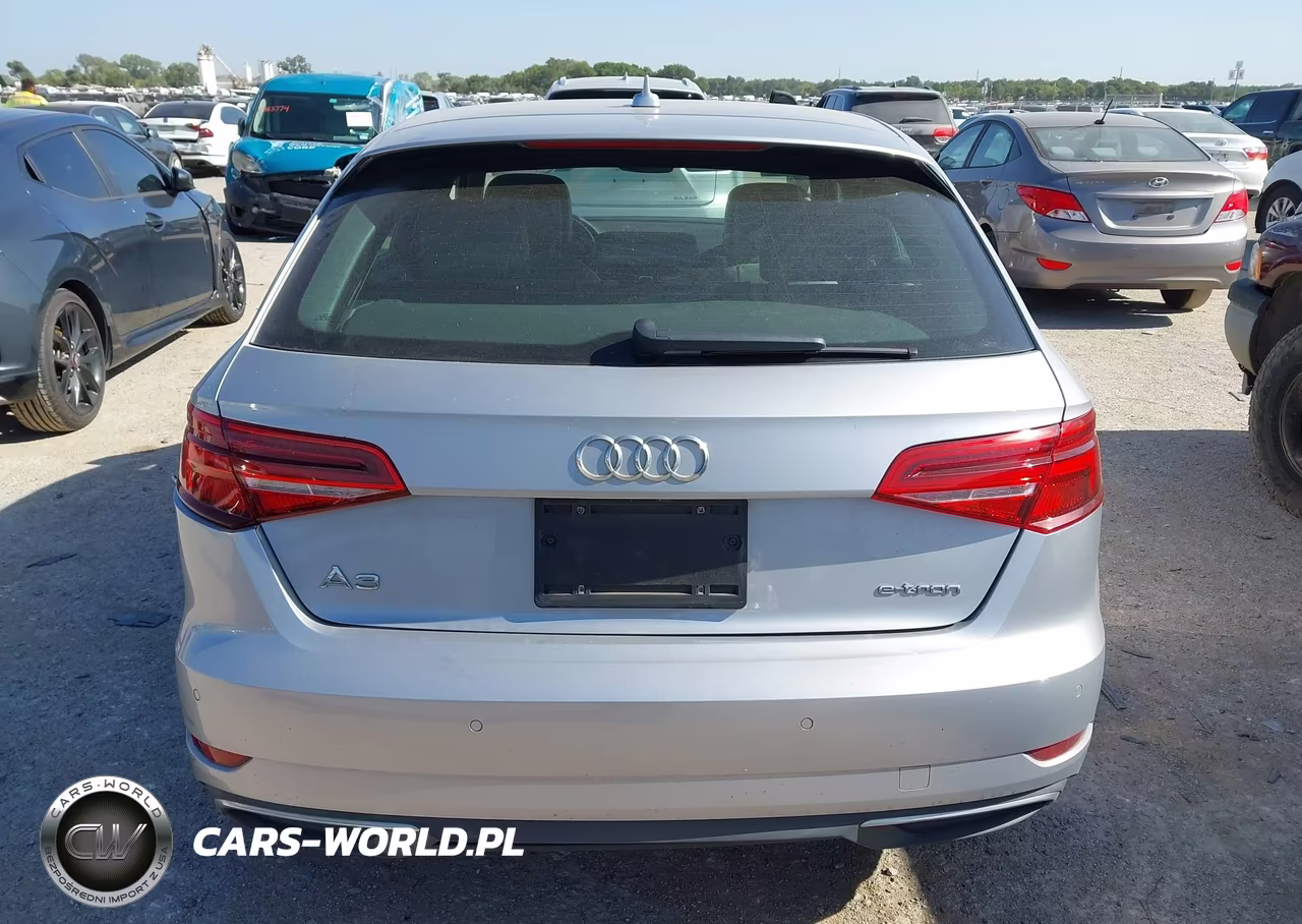 2017 Audi A3 Sportback E-Tron Premium Plus VIN:WAUTPBFF9HA043190 - 16